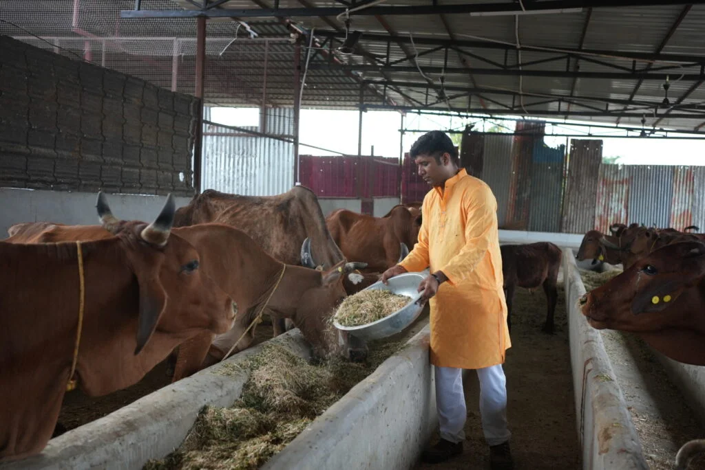 गौ-ग्रास योजना