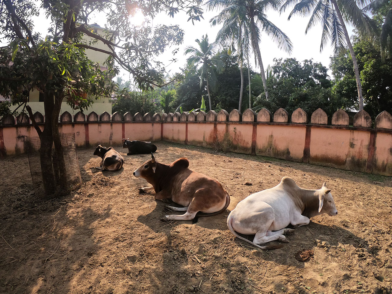 गौ-संरक्षण हेतु भूमि विस्तार योजना